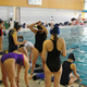 Illustration for article titled Austrian Underwater Rugby Nationals live